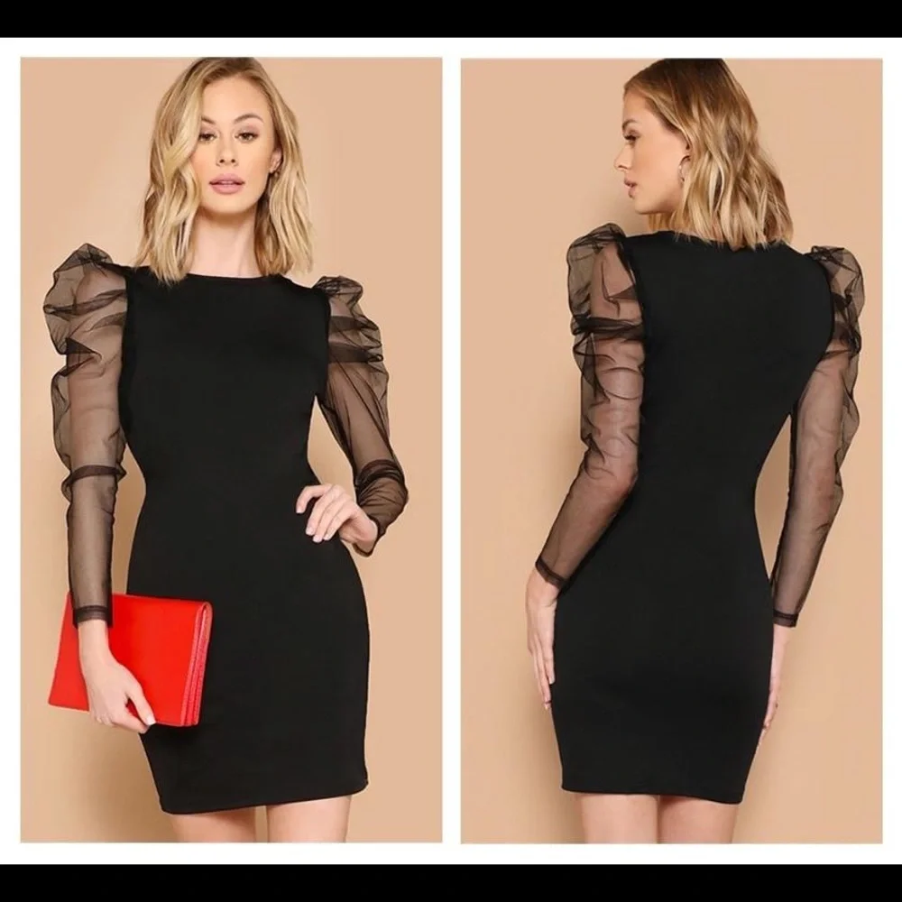 Black Mesh Puff Sheer Sleeve Bodycon Dress